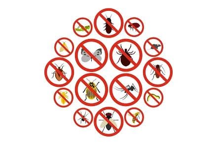 Pests targeted by fumigation service